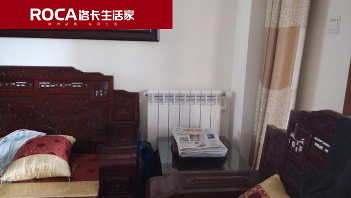 \南京進口暖氣片壁掛爐 明裝暖氣片 中央凈水