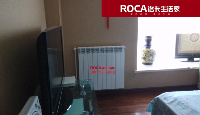 \南京進口暖氣片壁掛爐 明裝暖氣片 中央凈水