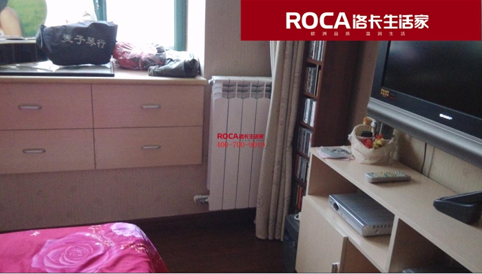 \南京進口暖氣片壁掛爐 明裝暖氣片 中央凈水