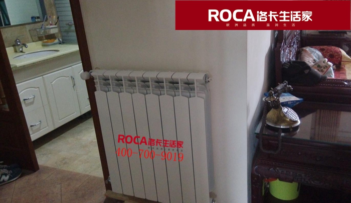 \南京進口暖氣片壁掛爐 明裝暖氣片 中央凈水
