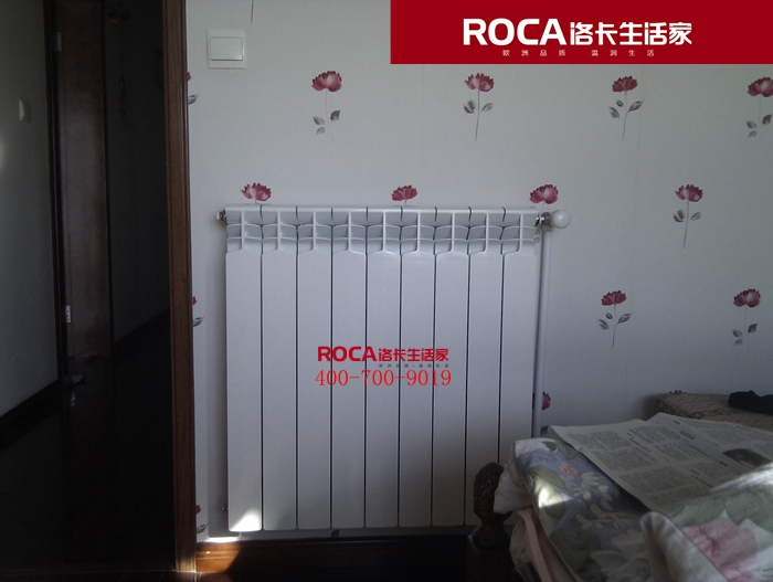 \南京進(jìn)口暖氣片壁掛爐 明裝暖氣片 中央凈水