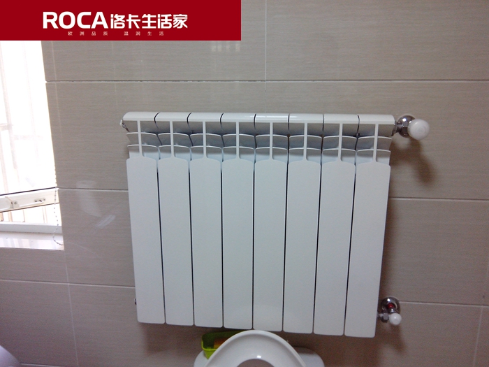 \南京進(jìn)口暖氣片壁掛爐 明裝暖氣片 中央凈水