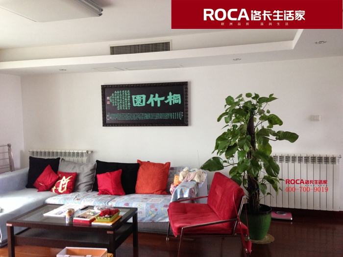 \南京進(jìn)口暖氣片壁掛爐 明裝暖氣片 中央凈水