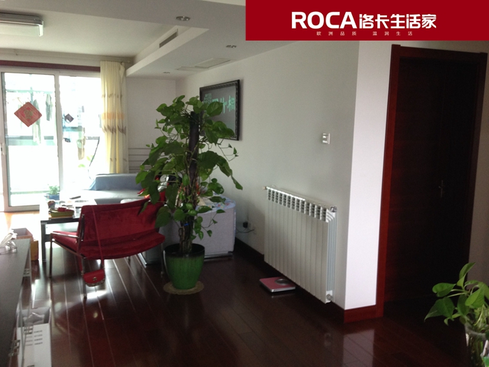 \南京進(jìn)口暖氣片壁掛爐 明裝暖氣片 中央凈水