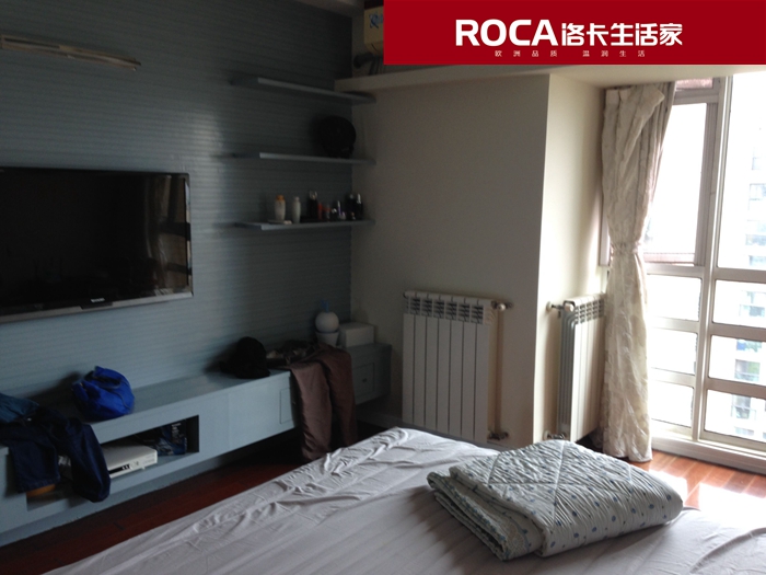 \南京進口暖氣片壁掛爐 明裝暖氣片 中央凈水