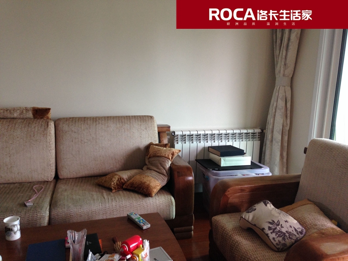 \南京進口暖氣片壁掛爐 明裝暖氣片 中央凈水