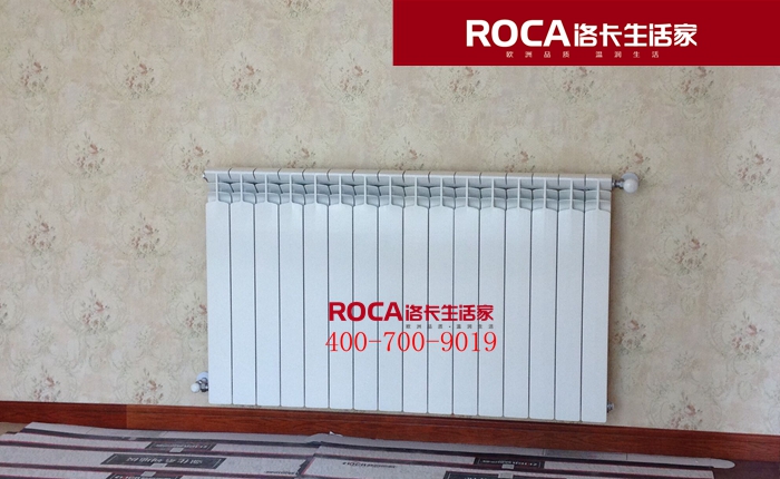 \南京進(jìn)口暖氣片壁掛爐 明裝暖氣片 中央凈水