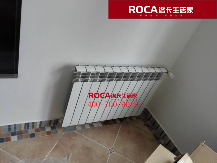 \南京進(jìn)口暖氣片壁掛爐 明裝暖氣片 中央凈水