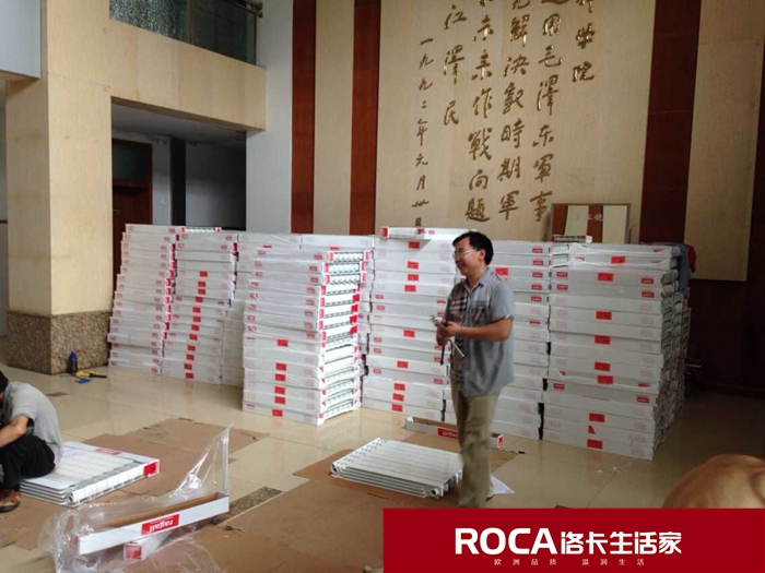 \南京進口暖氣片壁掛爐 明裝暖氣片 中央凈水