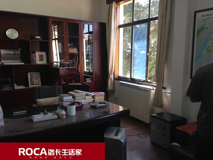 \南京進口暖氣片壁掛爐 明裝暖氣片 中央凈水