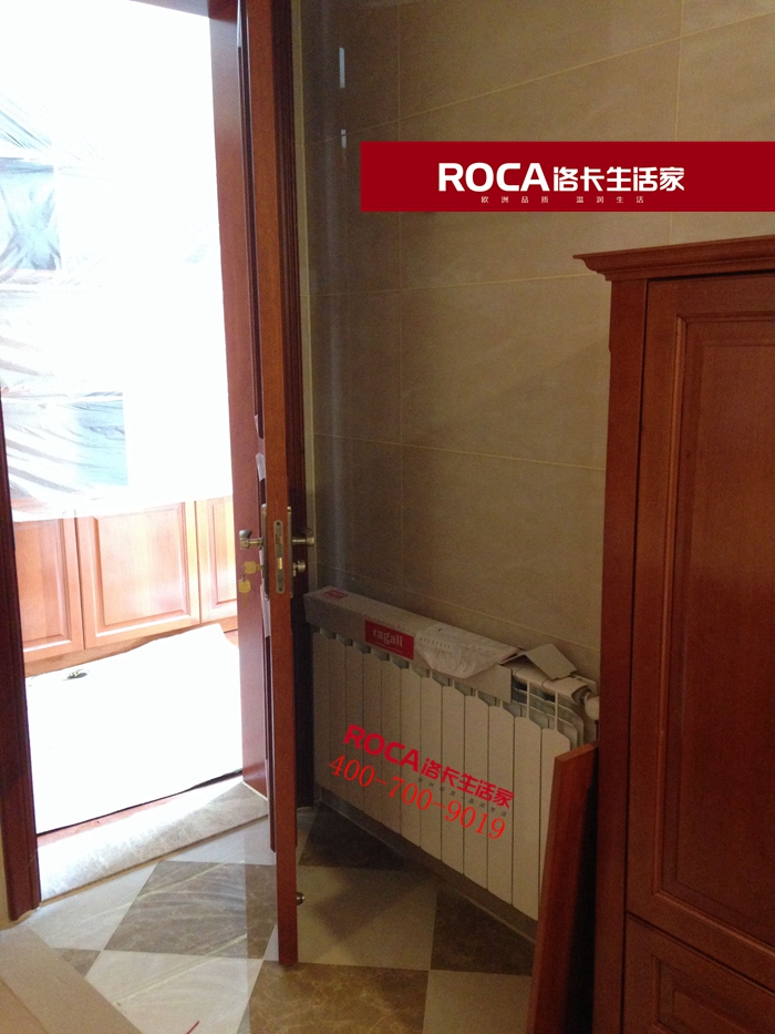 \南京暖氣片壁掛爐 明裝暖氣片 中央凈水 原裝 進口