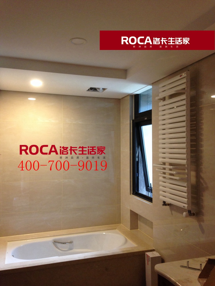 \南京暖氣片壁掛爐 明裝暖氣片 中央凈水 原裝 進口