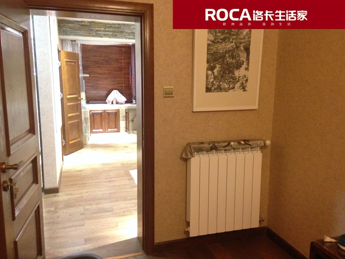 \南京進(jìn)口暖氣片壁掛爐 明裝暖氣片 中央凈水