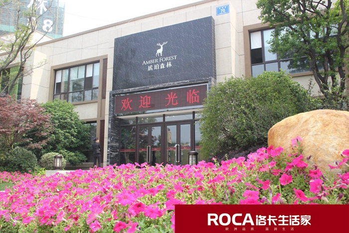 \南京進(jìn)口暖氣片壁掛爐 明裝暖氣片 中央凈水