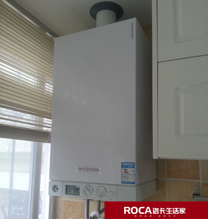 \南京進(jìn)口暖氣片壁掛爐 明裝暖氣片 中央凈水