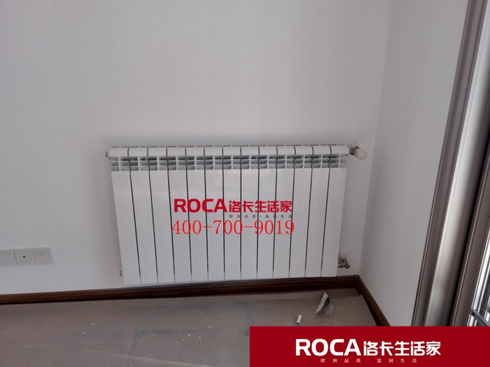 \南京進(jìn)口暖氣片壁掛爐 明裝暖氣片 中央凈水