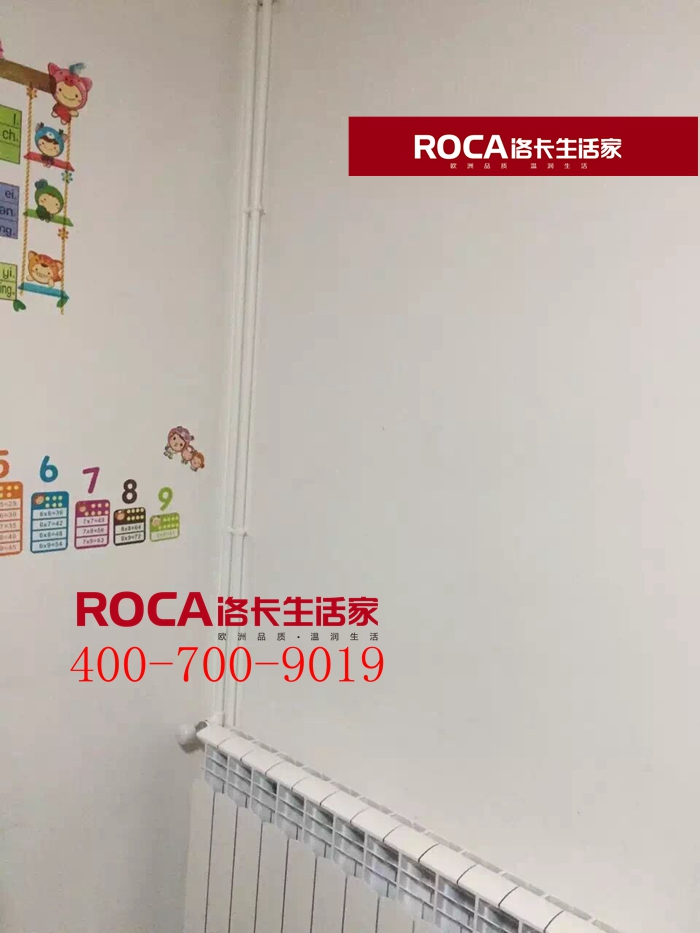 \南京進(jìn)口暖氣片壁掛爐 明裝暖氣片 中央凈水