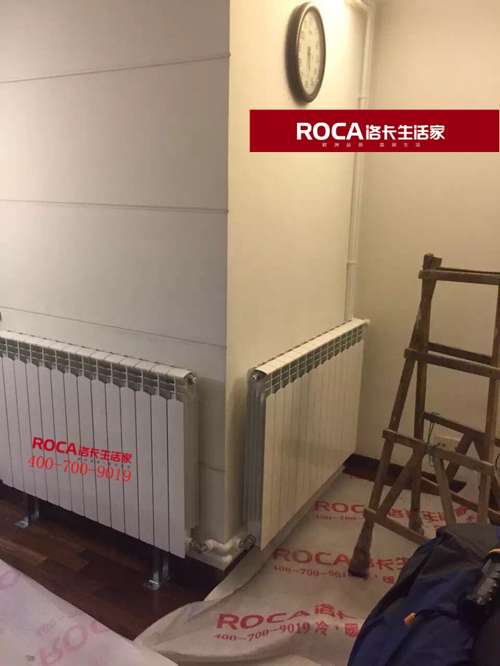 \南京進(jìn)口暖氣片壁掛爐 明裝暖氣片 中央凈水