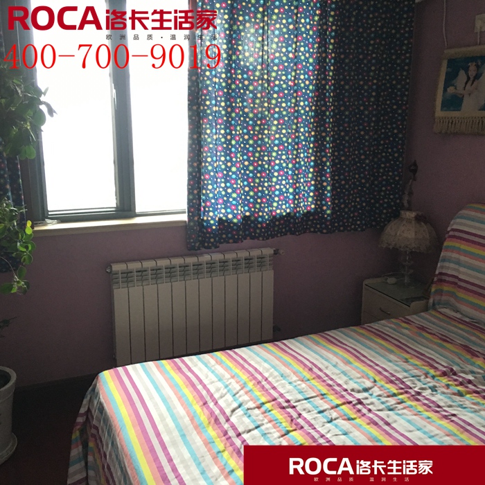 \南京進口暖氣片壁掛爐 明裝暖氣片 中央凈水