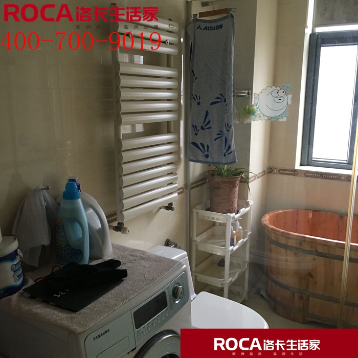 \南京進口暖氣片壁掛爐 明裝暖氣片 中央凈水