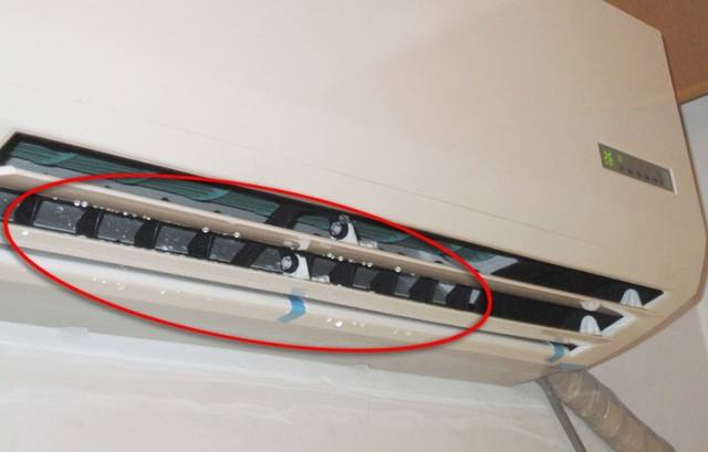 �Ͼ�������{���Ͼ����������{���|֥���������������Ͼ��忨